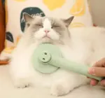Pet Comb To Remove Floating Hair