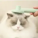 Pet Comb To Remove Floating Hair