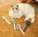 Pet Comb To Remove Floating Hair